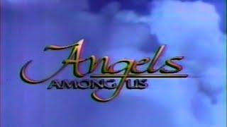 Angels Among Us (True Angel Stores)