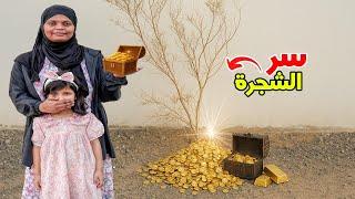 فلم سر الشجرة العجيبة ⁉️  سوالف بناتي