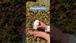 Neolife Chelated Zinc #neolifeproducts #chelatedzinc #zincsupplements