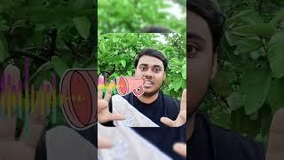 iPhone 13 vs Galaxy S23 Camera Comparison #shorts #iphone #android