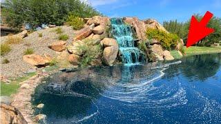 What Fish Live Below This Urban Waterfall? (Insane)