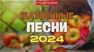 ЖАТВЕННЫЕ ПЕСНИ 2024