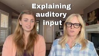 Talking about Auditory Sensitivities in autism