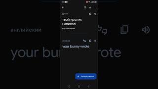 Твой кролик написал