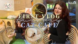 first vlog, cat cafe #poland