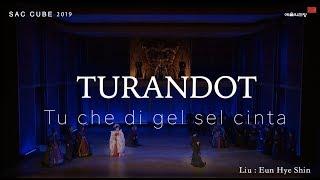 G. Puccini Turandot Aria / Liu : Tu che di gel sel cinta / 투란도트 아리아 예술의전당 가족 오페라