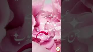 Real Facts Tv | Beautiful Eid Poetry | Eid Status