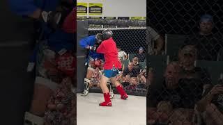 Combat sambo fight headbutt