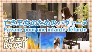 ラヴェル:亡き王女のためのパヴァーヌ(ピアノ)／Ravel:Pavane pour une infante défunte(Piano)朝クラ～Asa－Kura～