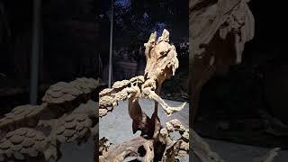 chế tác tiểu cảnh