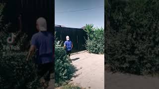 кызыктуу  окуялар