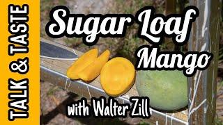 Talk & Taste | 'Sugar Loaf' Mango with Walter Zill