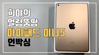 [ENG SUB]희야의 얼렁뚱땅 아이패드 미니5 언박싱iPad mini5/Unboxing/review️