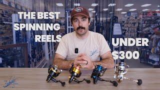 The Best Saltwater Spinning Reels Under $300 - The Saltwater Edge