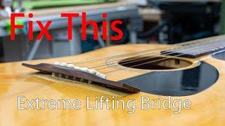 Repair an Extreme Lifting Acoustic Guitar Bridge