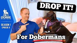 Training “Drop It” Using a Doberman's Instincts | Dobie Masters - S1E8