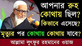 আপনার রুহ কোথায় ছিল? কিভাবে এসেছে? মৃত্যুর পর কোথায় কোথায় যাবে? লুৎফুর রহমান ওয়াজ Lutfur Rahman