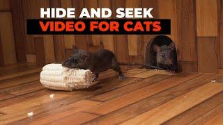 CAT GAMES  Hide and Seek Mice for Cats to Watch with Bird Sounds