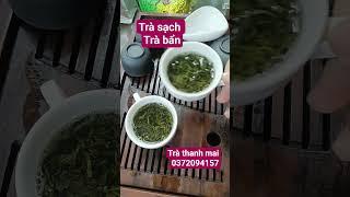 8/6 PHÂN BIỆT TRÀ SẠCH TRÀ BẨN #chethainguyen #tratancuong #xuhuongyoutube