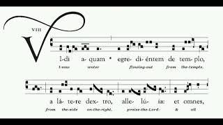 Gregorian Chant: Vidi Aquam and prayer (with English translation)
