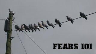 How to Overcome Your Fears - Lesson 101