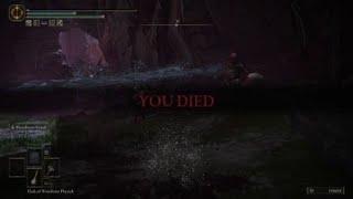 ELDEN RING Typical Souls Verse Death 2