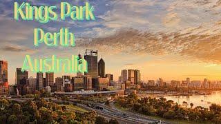 Kings Park and Botanic Garden/ Perth/western Australia/