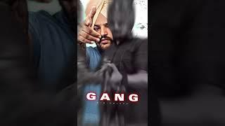 King panjabi 