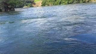 River Nile Starts from Lake Victoria