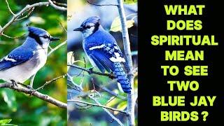 WHAT DOES SPIRITUAL MEAN TO SIGHTING TWO BLUE JAY BIRDS ?