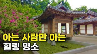 Seoul's Amazing Hidden destinations in the Forest | solo travel | korea travel