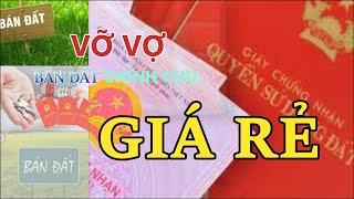 Mua bán đất Lạc Phú, Bắc Giang, Đầu tư bất động sản Lạc Phú, Đất đẹp Bắc Giang, Đất thổ cư tại BG