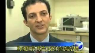 電視第7頻道 KABC專訪紐曼博士談幹細胞生長因子