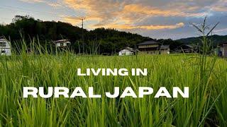 Traditional Japanese House Compared to Modern Japanese House