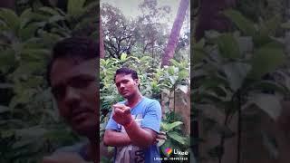 Ray mahesh(2)