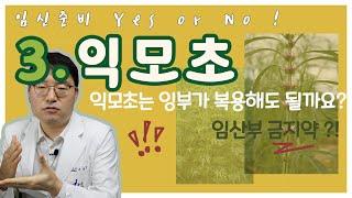 임신준비 Yes 혹은 No! 제3편 익모초
