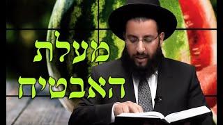 אבטיח - מעלות סגולות וטיפים | מסלק רעלים | מדור בריאות | הרב רביד נגר