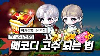 메린이를 위해 「웰컴 메이플 패키지」 뷰티어워즈 성형·헤어 / 꽃잎 스킨 / 메이플 코디 날먹 사이트 추천까지 한번에!