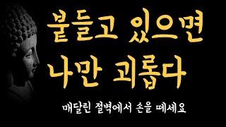 잠자기 전에 듣는 부처님 말씀ㅣ매달려 있는 절벽에서 손을 떼세요. 기대지도 말고, 의지하지도 말고, 고민할 필요도 없다ㅣ석가모니 명언ㅣ 인생조언ㅣ불교ㅣ오디오북ㅣ인생명언