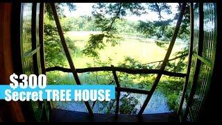 Building a Secret $300 Tree House in Swamp (w/Tiny House Builder)