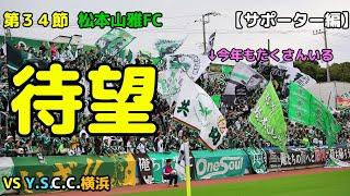 【松本山雅FC】 vs YSCC横浜 　やっぱり今回は長くなった動画 20241026 作業用 聞き流し チャント集