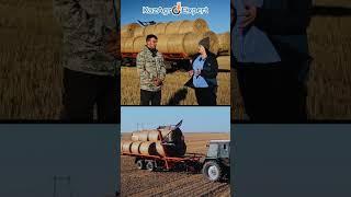 Полуприцеп транспортировки рулонов самосвальный ПТР-12С #казагроэксперт #viral  #сельхозтехника