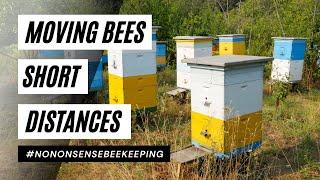 How To Move A Beehive A Short Distance - How to Move Bees - When To Move Beehives