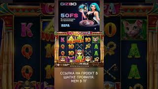 египетские кошки дали неплохой заносик #shorts  #buster #zubaref #casino #заносынедели