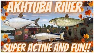 Russian Fishing 4 Super Active Spot Akhtuba River