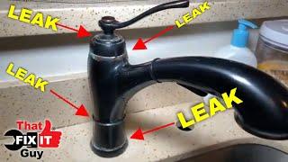 That Fix It Guy House Call...Pull Out Kitchen Faucet Replacement