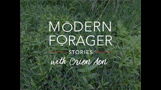 Modern Forager Stories: Orion Aon - Springtime Foraging in Colorado