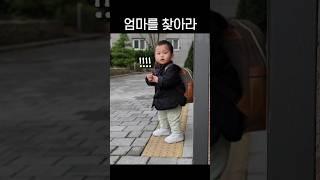 엄마를 찾아라