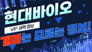 [현대바이오] 장 열리자마자 바로 "여기까지" 상승할 현대바이오 세력매집 일정 공개! 현대AMD인수 후 찾아온 마지막 기회 이번에 놓치시면 큰일납니다!