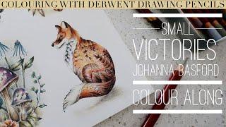 Colouring in Small Victories | Fox | Johanna Basford | Derwent Drawing